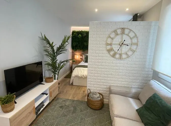 Nikkis Loft דירה *